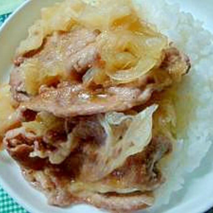 薄切り豚肉とタマネギのさっぱり炒め丼